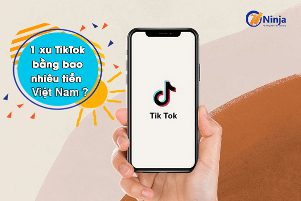 Giải đáp 1 xu tiktok bằng bao nhiêu tiền Việt Nam