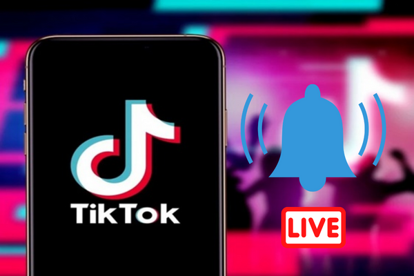 Thông báo trước khi livestream trên tiktok