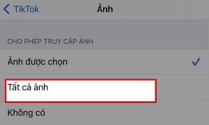 Tất cả các ảnh